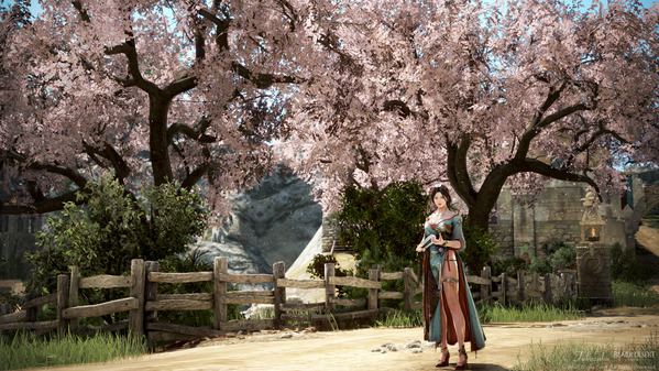 黒い砂漠 ウサ 紅焔衣装 桜