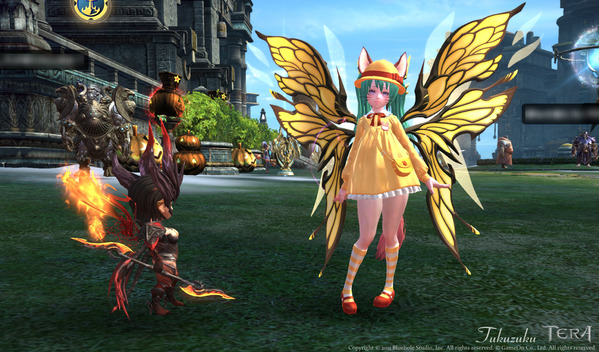 TERA エリーン