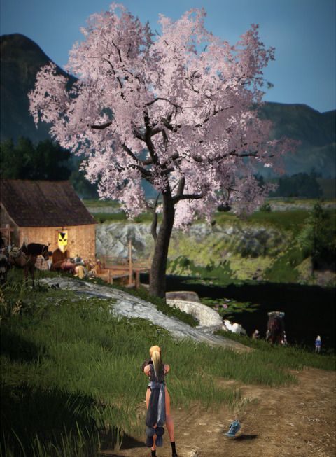 BlackDesert Valkyrie 桜