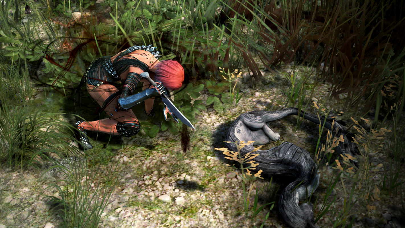 シャイのロバ Valkyrie