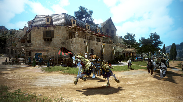 黒い砂漠 ウォーリア 馬放置 ハイデル