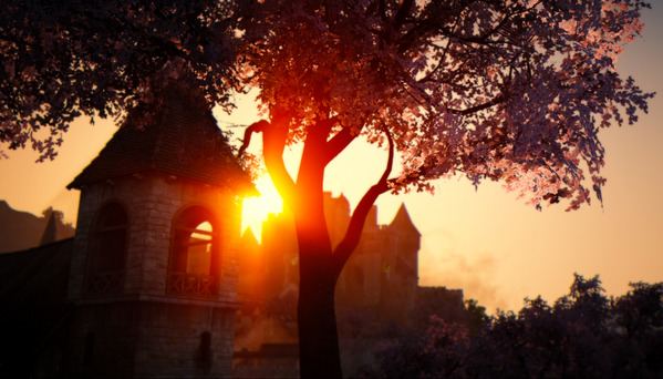 黒い砂漠 桜