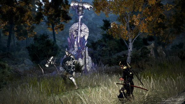 黒い砂漠 シェレカン 忍者
