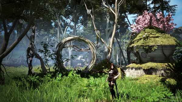 黒い砂漠 フランドール湖 ダークナイト