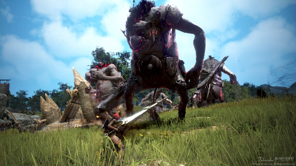 黒い砂漠 トロル生息地[エルビア] ヴァルキリー