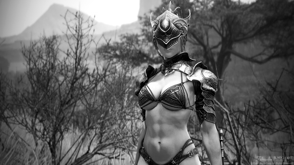 黒い砂漠 ヴァルキリー ヴェナトラ衣装