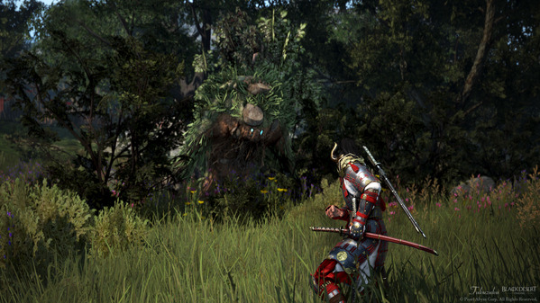 黒い砂漠 闇の狭間ボス 愚鈍な木の精霊 忍者