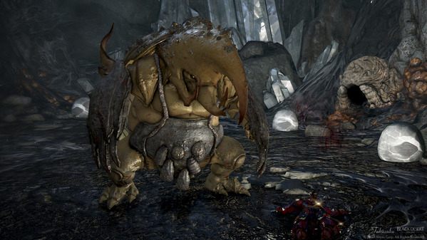 黒い砂漠 ムラスト ムロウェクの迷宮