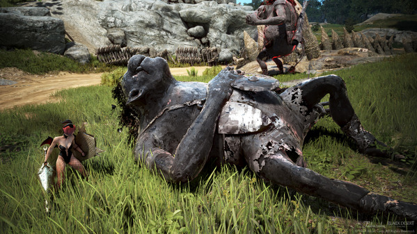 黒い砂漠 トロル生息地[エルビア] ヴァルキリー