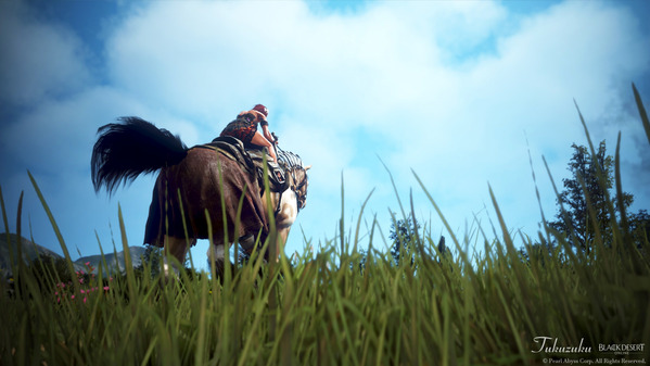 黒い砂漠 ヴァルキリー 馬