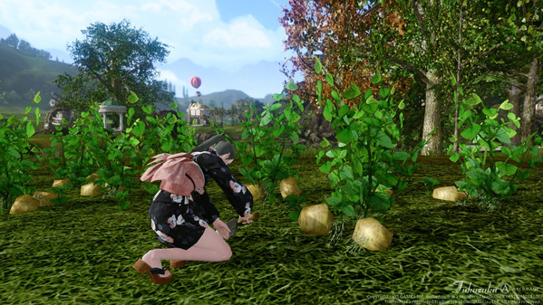 ArcheAge ジャガイモ