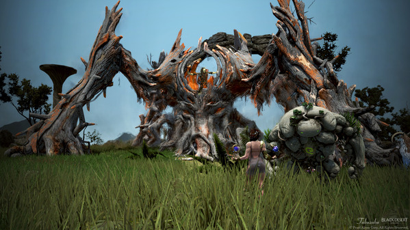 黒い砂漠 ウィッチ オピン