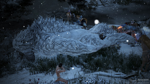 黒い砂漠 覇王ピーク討伐 ドタバタ雪花雪原