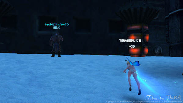 TERA :The Exiled Realm of Arborea