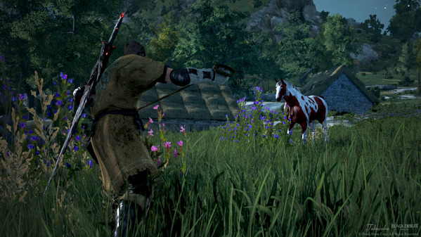 黒い砂漠 野生馬捕獲 ウォーリア