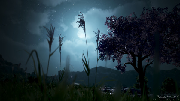 黒い砂漠 桜の木 フレーメの丘