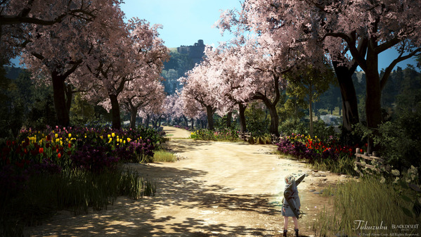 黒い砂漠 桜とチューリップ49 南部小麦農場
