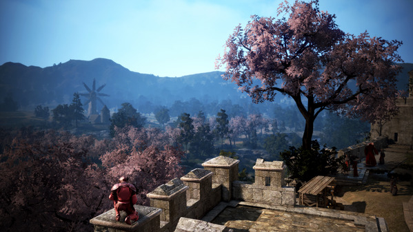 黒い砂漠 桜並木