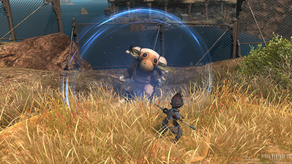 FF14 ララフェル ゴブリン･マガー 西ザナラーン