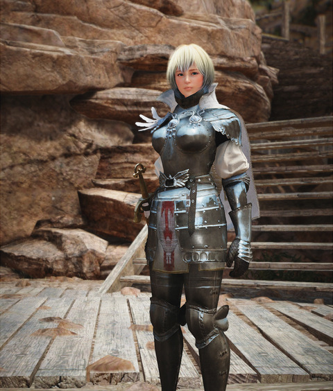 黒い砂漠 デルペ騎士団服
