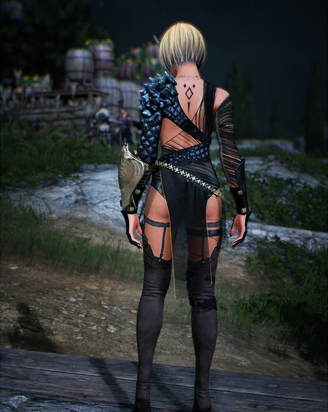 BlackDesertOnline Valkyrie フォールンガルザル