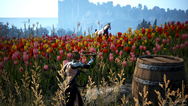 黒い砂漠 野生馬捕獲 フレーメの丘 チューリップ