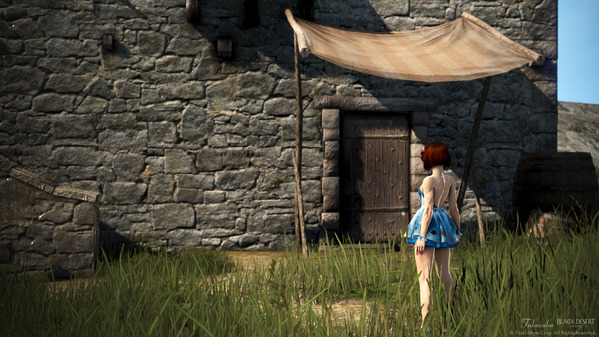 黒い砂漠 アレハンドロ農場 リトルサマナー