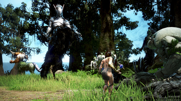 黒い砂漠 ウィッチ フォレストロナロス