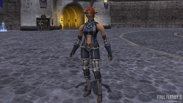FF11 エルヴァーン（Elvaan）