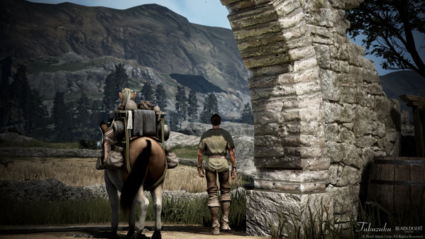 黒い砂漠 山の配達員a03c