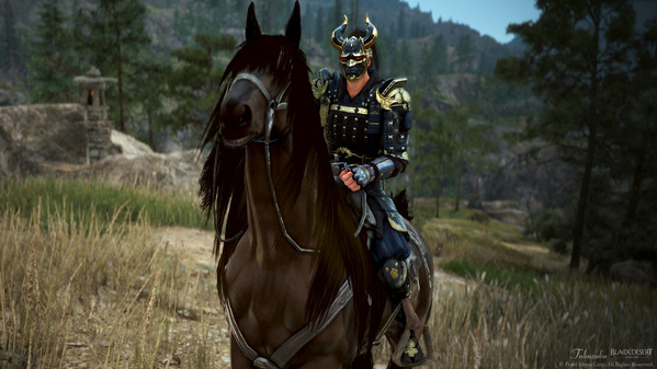 黒い砂漠 忍者 [NJ] 白の山猫アーマー 暗鬼ヘルム