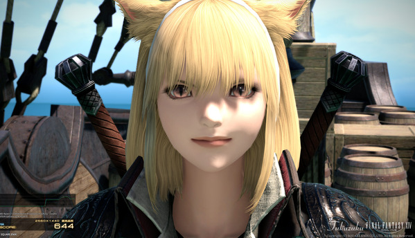 FF14 黄金のレガシー ベンチマーク マイディー再現