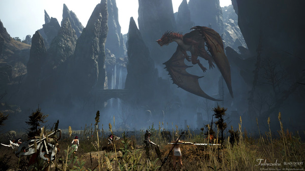 黒い砂漠 ガーモス