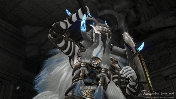 黒い砂漠 果てしない冬の山 炎の守護者 ガーディアン