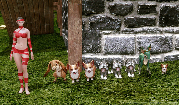 ArcheAge ふれあいペット王国 赤ちゃん動物