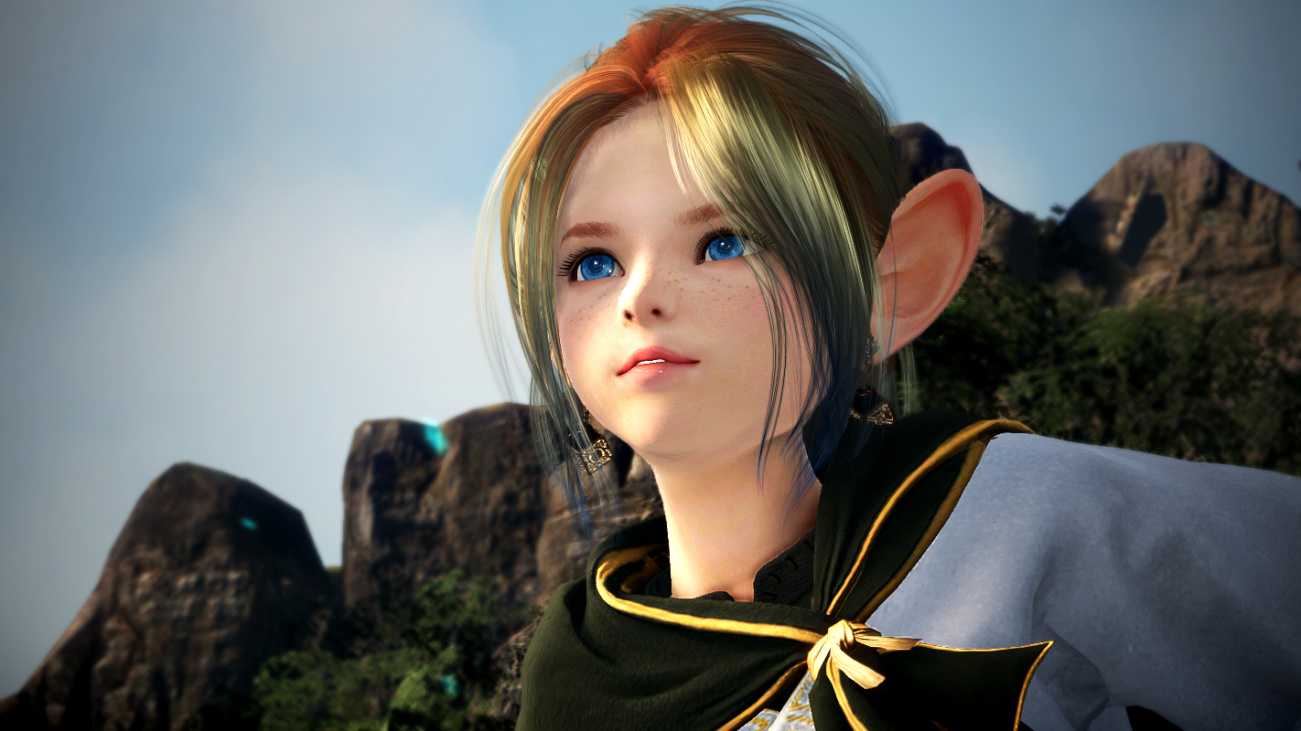 シャイのキャラメイク Valkyrie