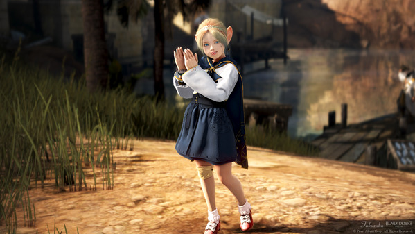 黒い砂漠 シャイ ヘラクレスアーマー 染色