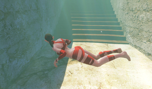 ArcheAge 蜃気楼の島 ミニチュアキャラクター探し