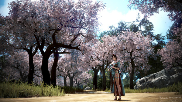 黒い砂漠 ウサ 紅焔衣装 染色