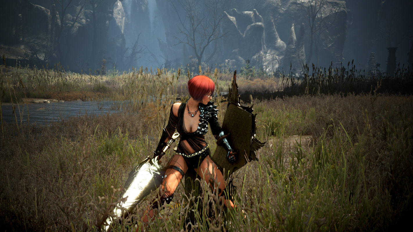 ドリガンのメインクエスト2をクリア Valkyrie