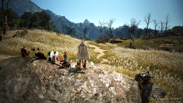 黒い砂漠 荷車象ツアー43