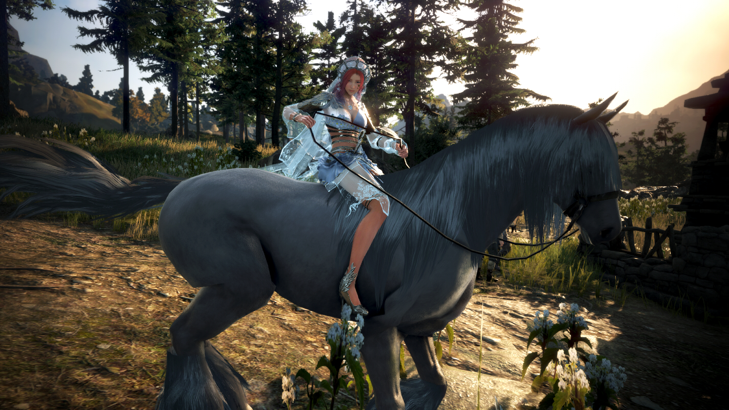 ドリガンのメインクエストを開始 Valkyrie