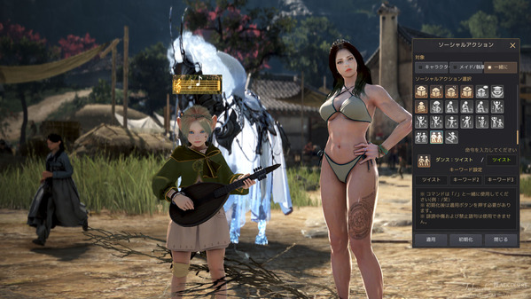 黒い砂漠 シャイ演奏 ソーシャルアクションが使えない