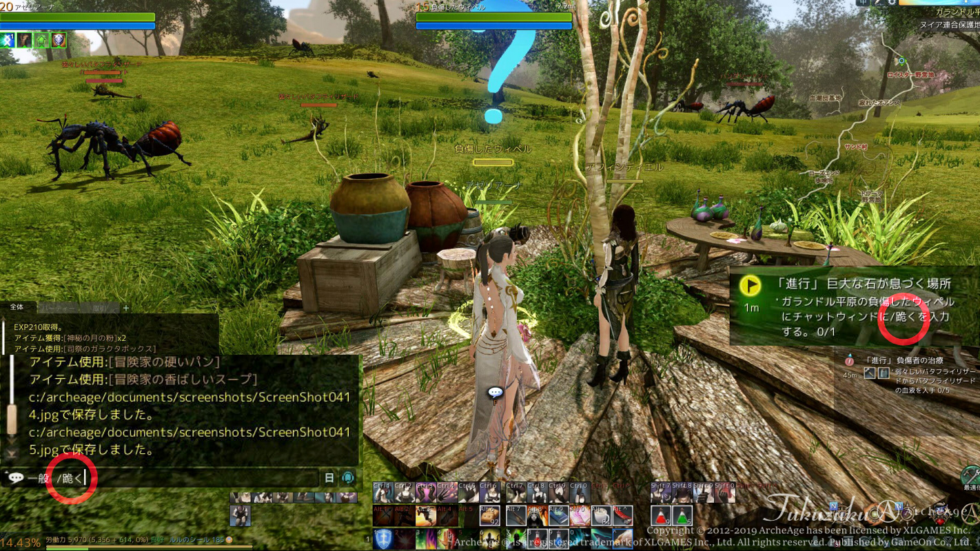 Archeage 少しプレイ Valkyrie