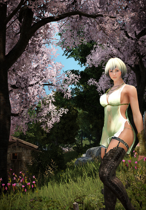 黒い砂漠 桜