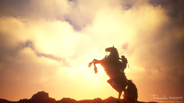 Black Desert Online Ninja