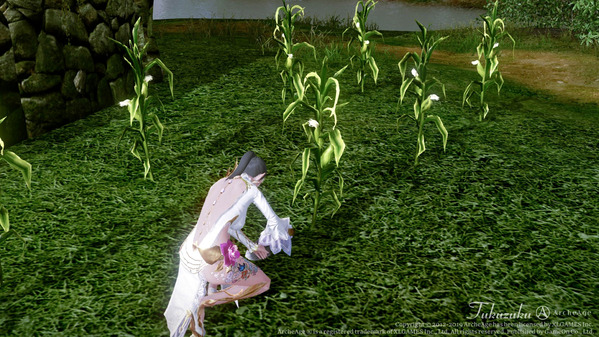 ArcheAge_583