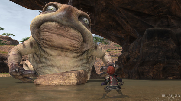FF14 トキシックトード ララフェル FF14 ララフェル 剣術士