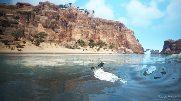 黒い砂漠 忍者 バレンシア