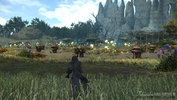 FF14 黒衣森：南部森林 ロウアーパス